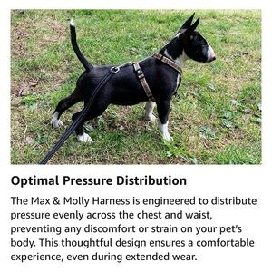 Max and Molly Comic Dog H-harness